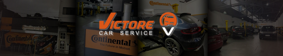 Revisão do Veículo